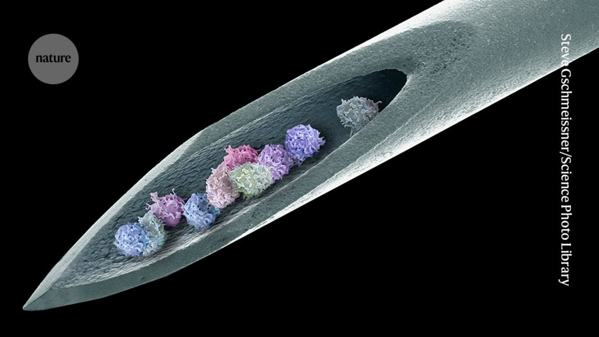 Stem Cell Transplant Cures Rare Autoimmune Disease for 15 Years