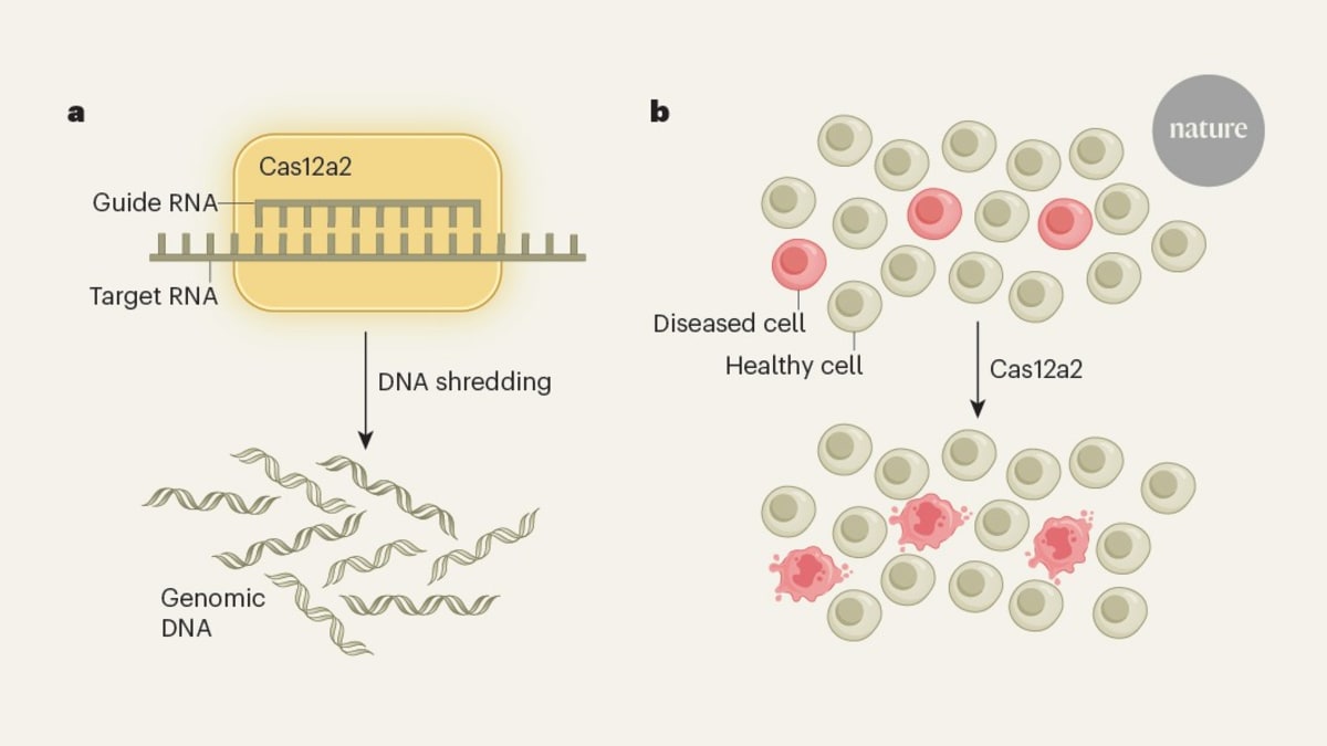 Molecular illustration of CRISPR enzyme targeting and destroying cancer cell DNA while healthy cells remain intact