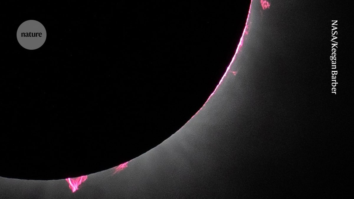 Scientists Chase 2026 Eclipse to Solve Sun Mystery