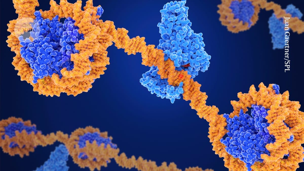 Scientists Can Now Edit Genes Without Cutting DNA