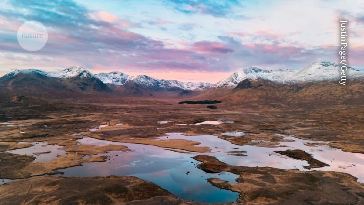 Europe's Wetlands Mapped in Stunning Detail for Restoration