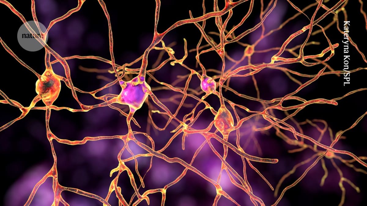 Gene Therapy Stops Seizures in 2 Boys with Rare Epilepsy