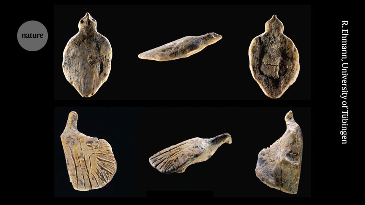 Two small carved mammoth ivory bird figurines from 40,000 years ago, one with outstretched wings