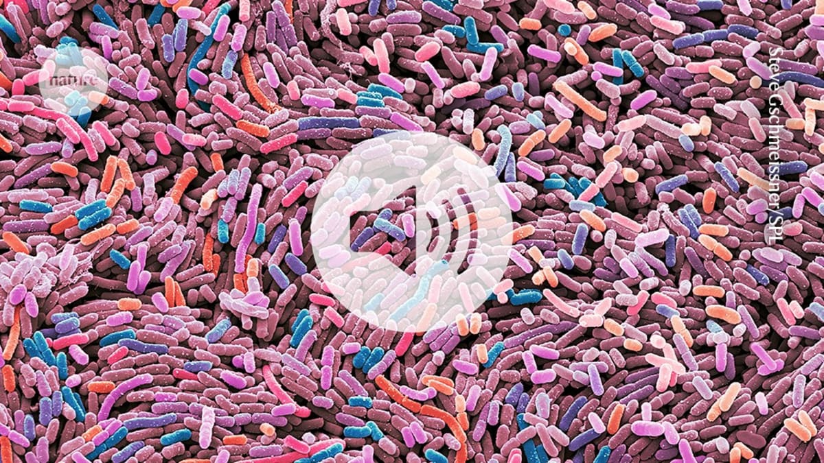Probiotic Bacteria Now Treats Diabetes in Breakthrough Study