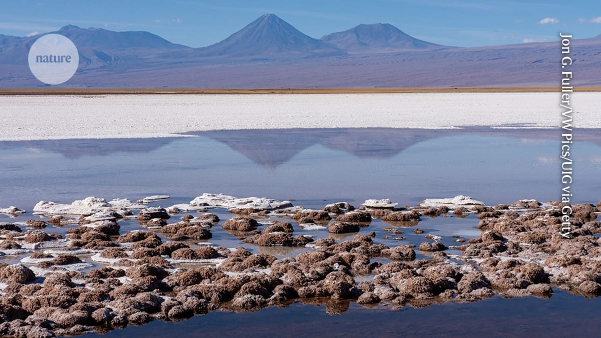 New Book Reveals How Life and Earth Shaped Each Other