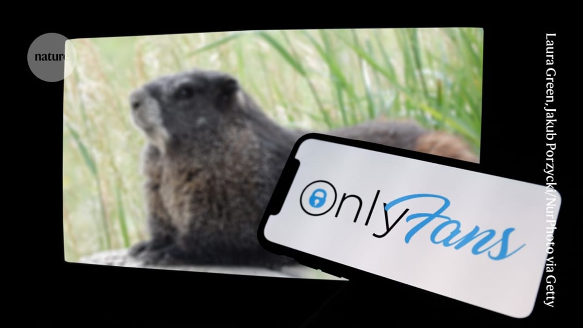 Marmot OnlyFans Raises $100K for Climate Research