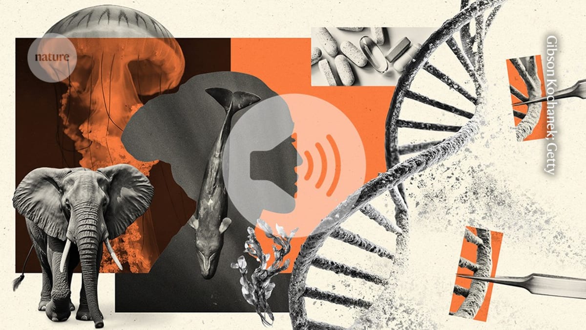 Scientists Link DNA Repair to Longer, Healthier Lives