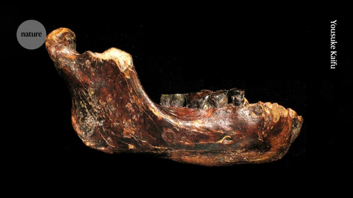 Ancient Denisovans Hunted in China for 30,000 Years