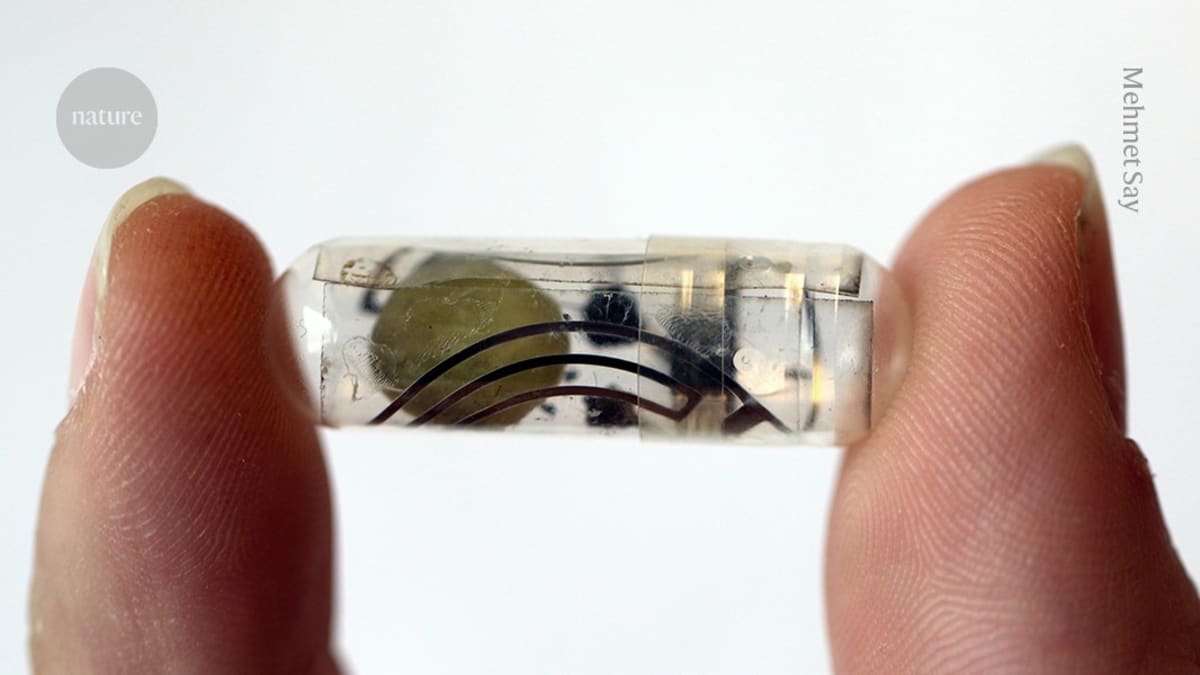 Rice Paper Battery Powers Medical Devices You Can Swallow