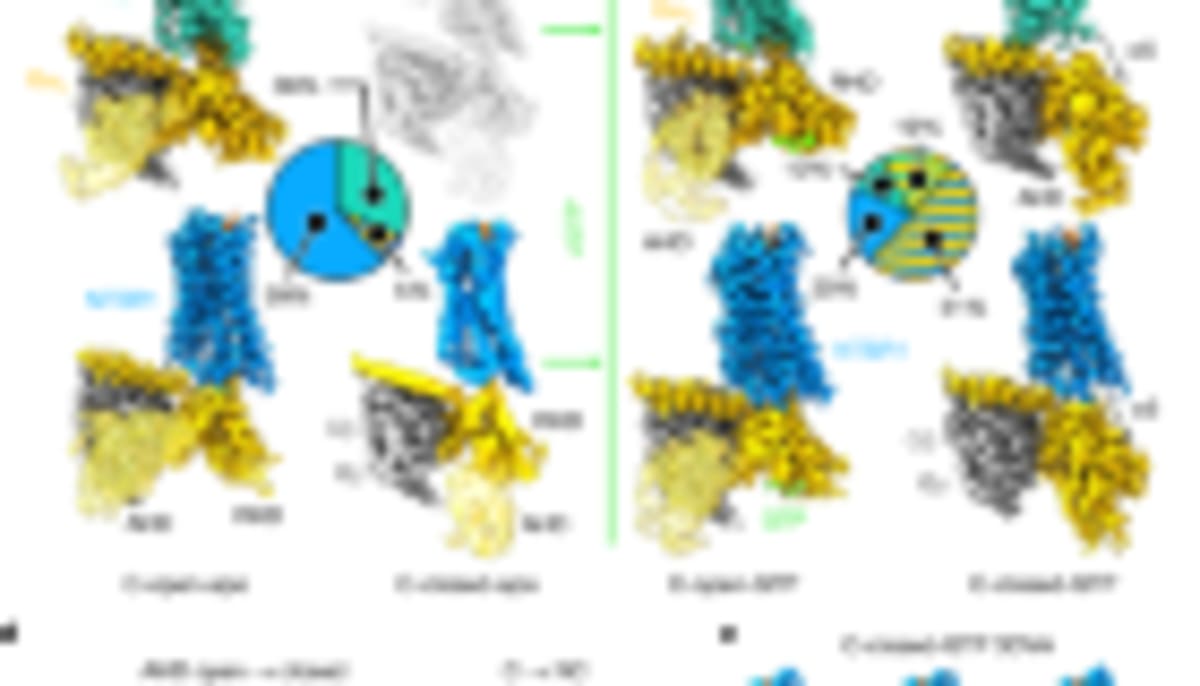 AlphaFold Database Adds 1.7M Protein Pairs to AI Library - Image 4