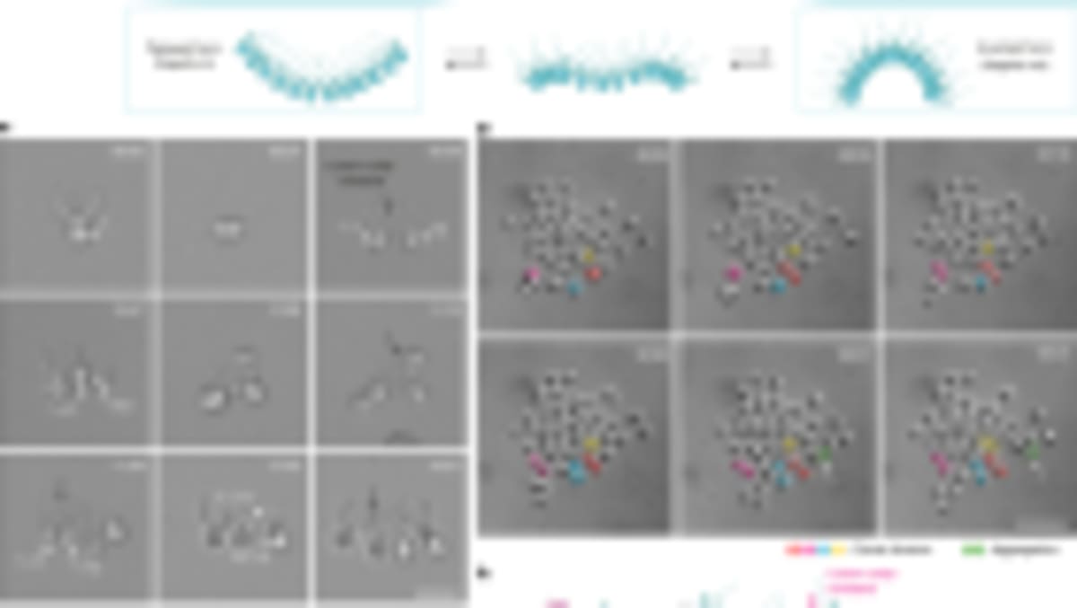 Scientists Simulate Entire Living Cell for First Time - Image 4