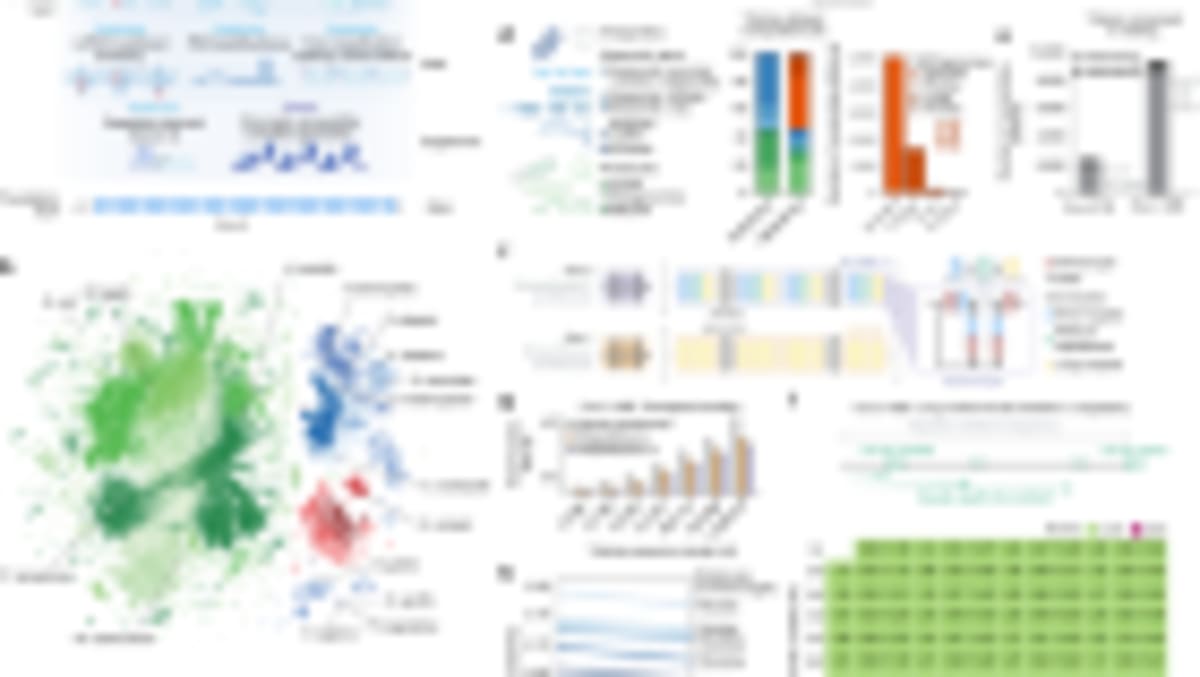 Pig Liver Saves Man's Life Until Human Transplant Ready - Image 2