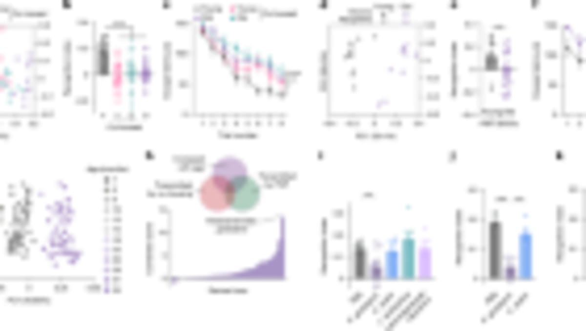 Gut Bacteria Reversal Could Restore Memory in Older Adults - Image 2
