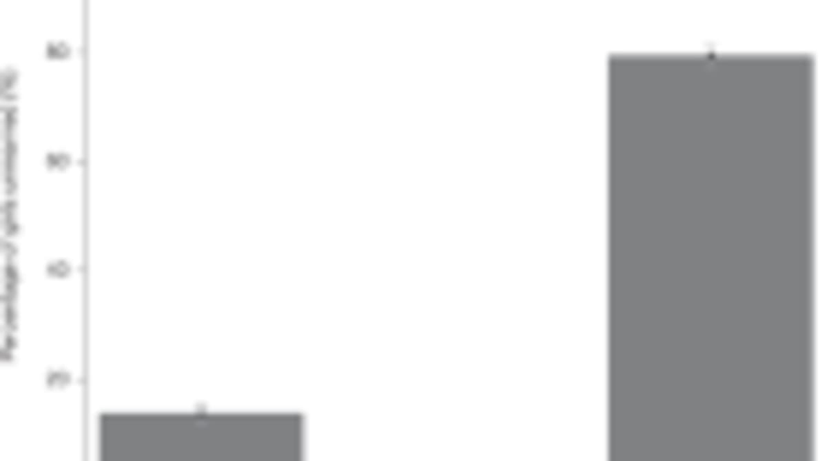 UN Experts Propose New Way to Measure National Progress - Image 4