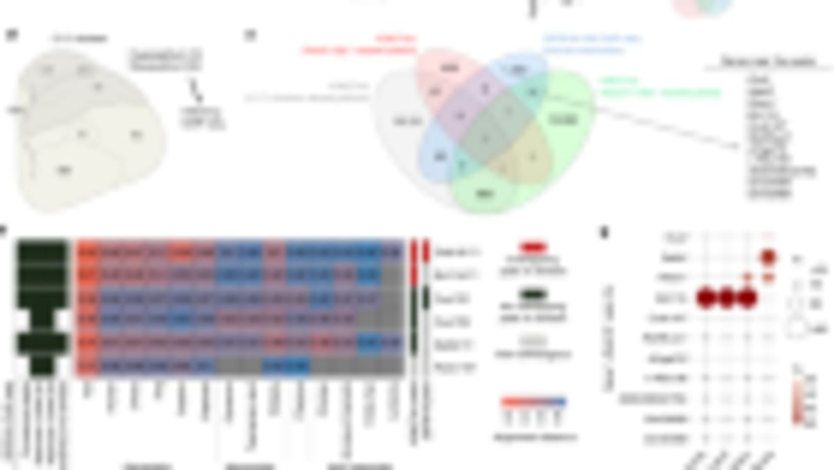 45-Year-Old Paper Still Guides Science of Cooperation - Image 4
