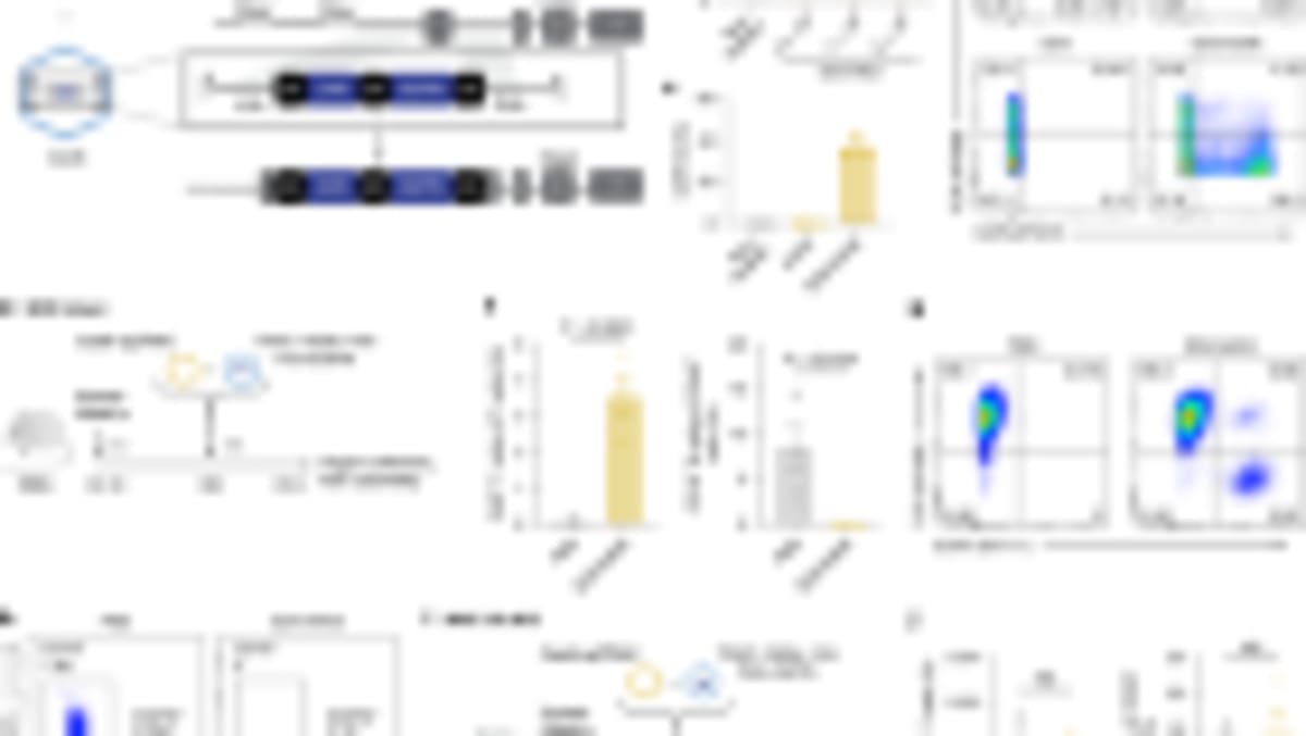 Lab-Grown Oesophagus Helps Pigs Swallow Again - Image 5