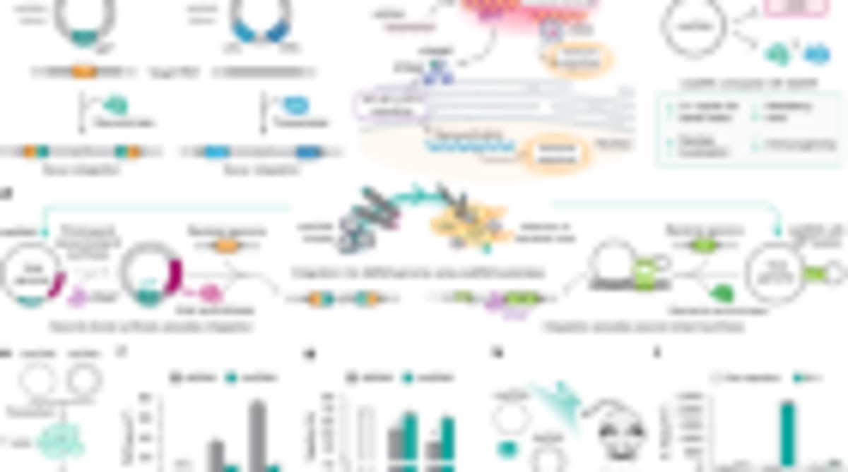 Scientists Clone Mice 58 Generations, Discover Key Limit - Image 4