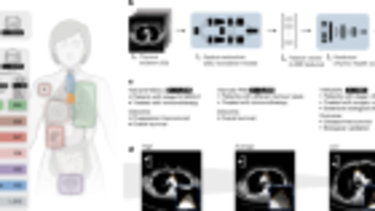 Lab-Grown Oesophagus Helps Pigs Swallow Again - Image 3