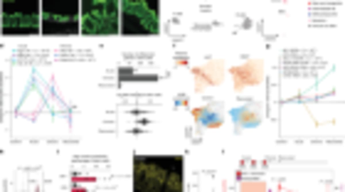 Scientists Begin Human Trial to Reverse Cellular Aging - Image 2