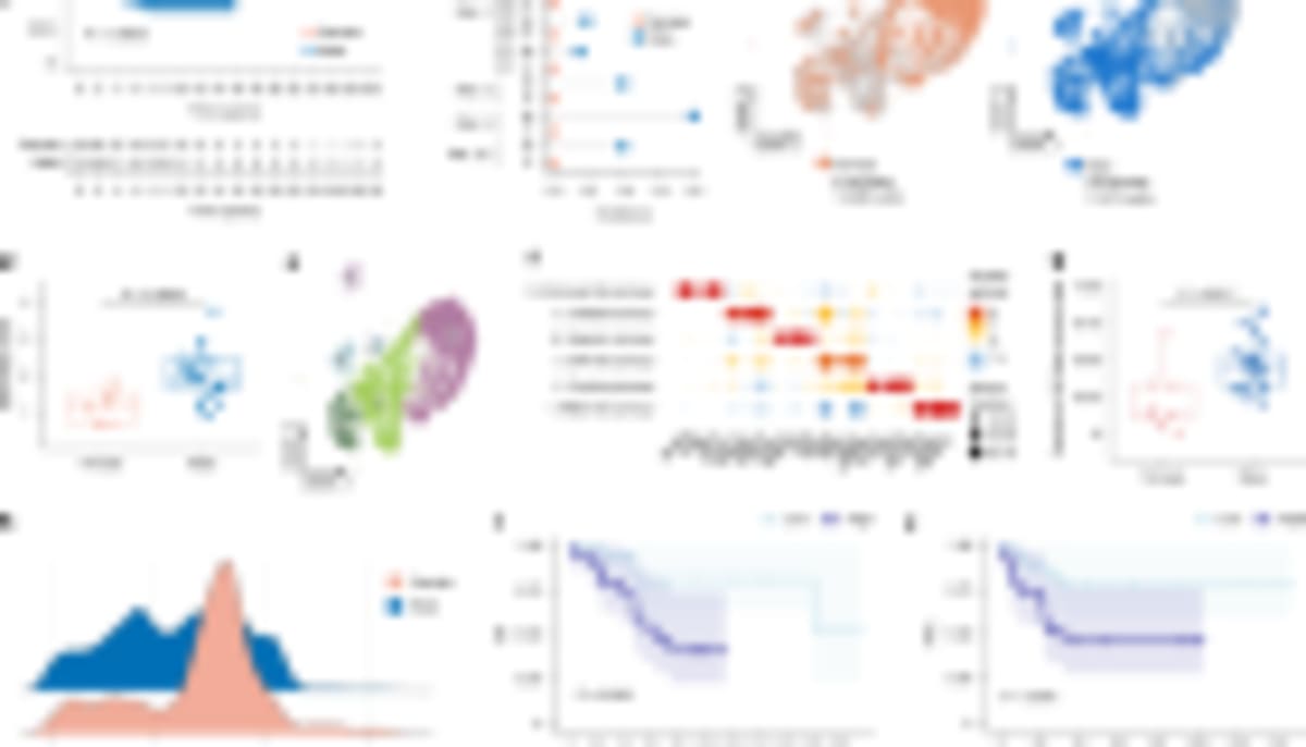 England's Lung Cancer Screening Saves Lives Early - Image 2