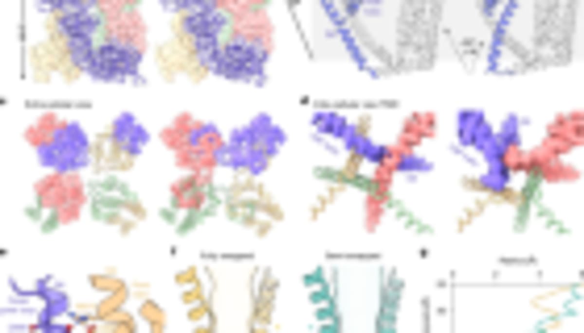 Bacteria Spin Microscopic Pucks Without Touching Them - Image 3