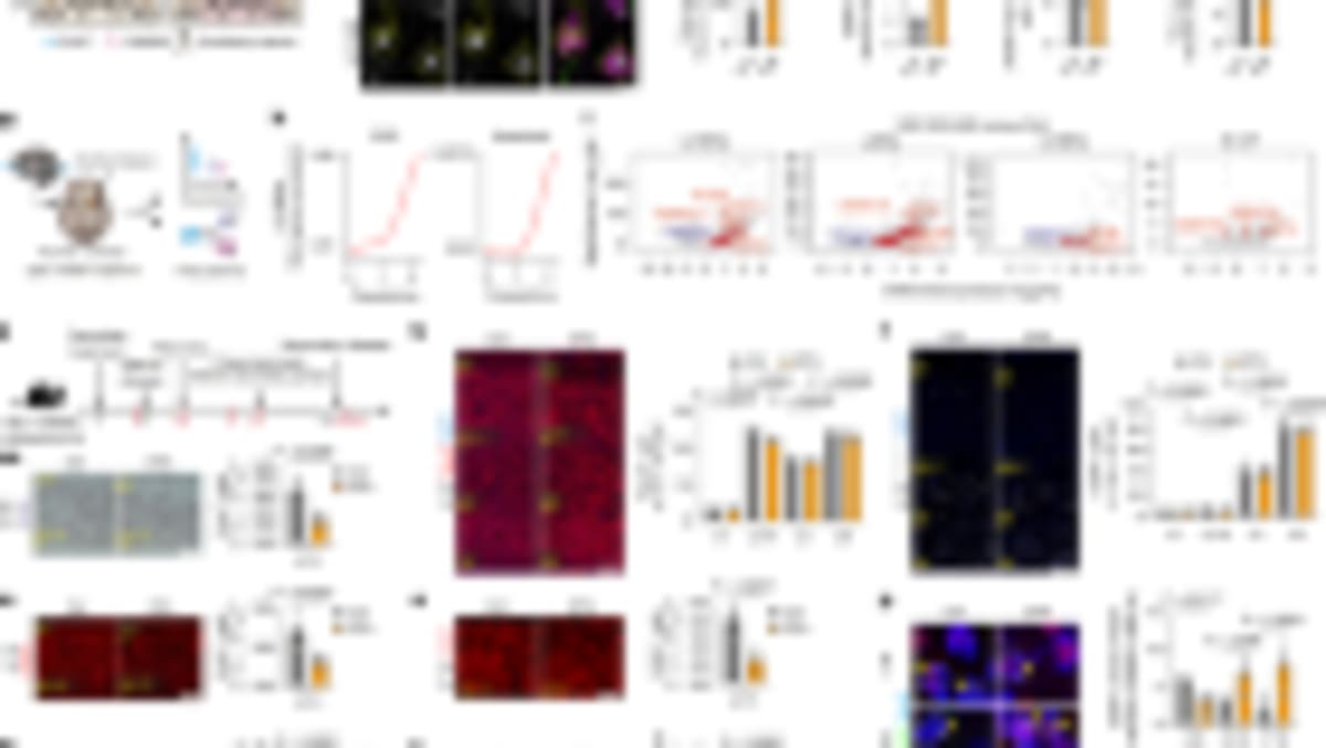 Scientists Begin Human Trial to Reverse Cellular Aging - Image 5