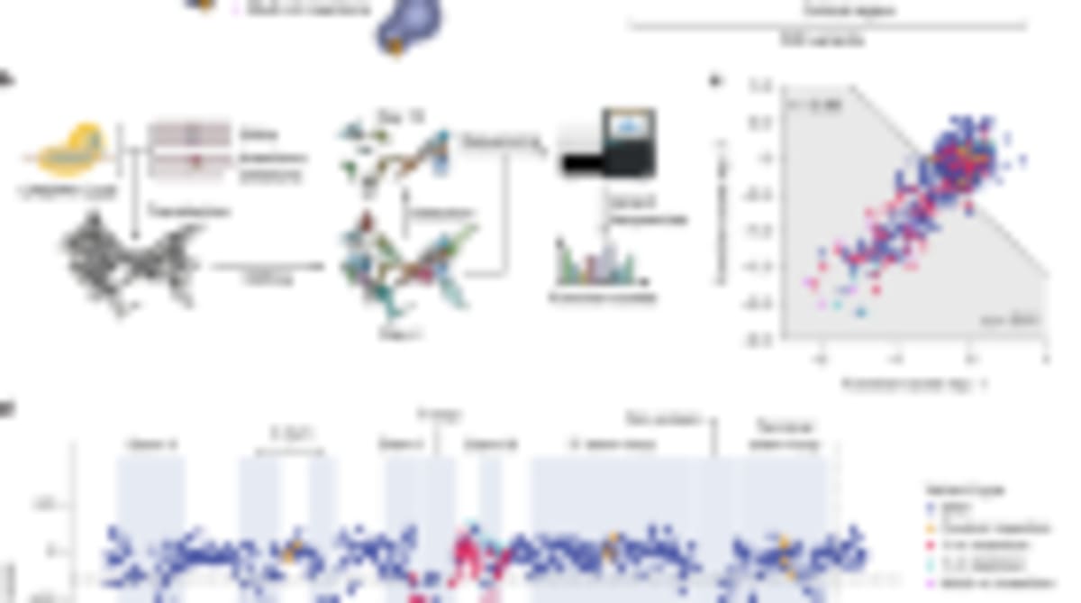 Scientists Find Why Obesity Drugs Work Better for Some - Image 5