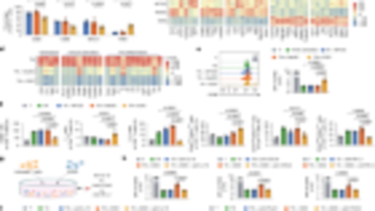 CAR-T Therapy Cures Woman With 3 Autoimmune Diseases - Image 3