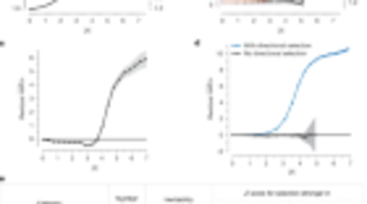 Human Evolution Sped Up Over Past 10,000 Years - Image 3