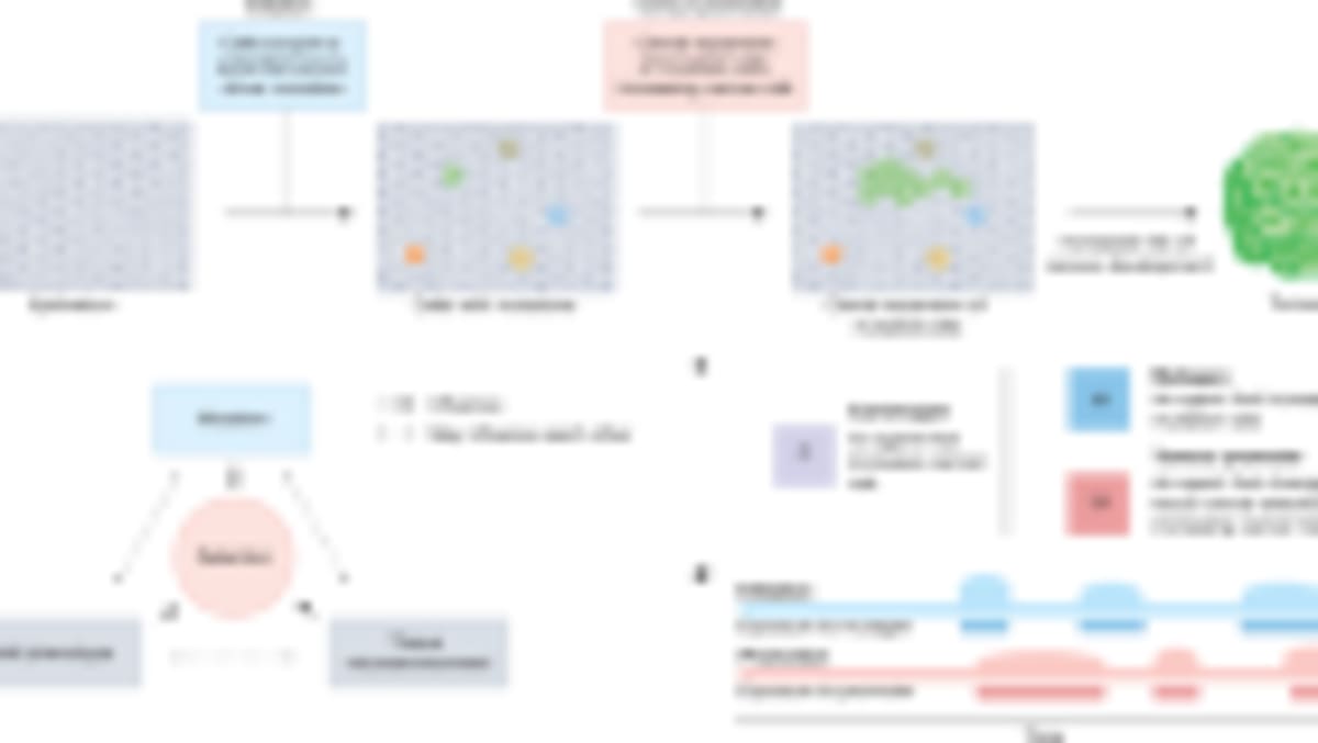 Human Evolution Sped Up Over Past 10,000 Years - Image 2