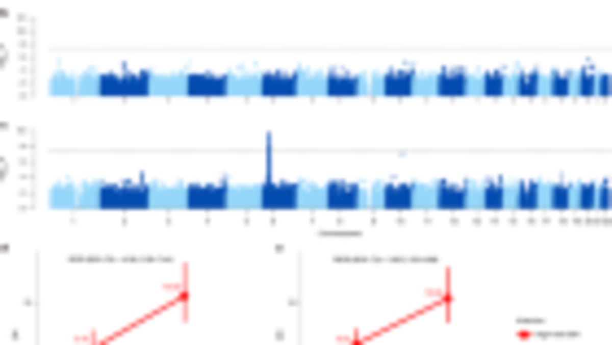Human Evolution Sped Up Over Past 10,000 Years - Image 4
