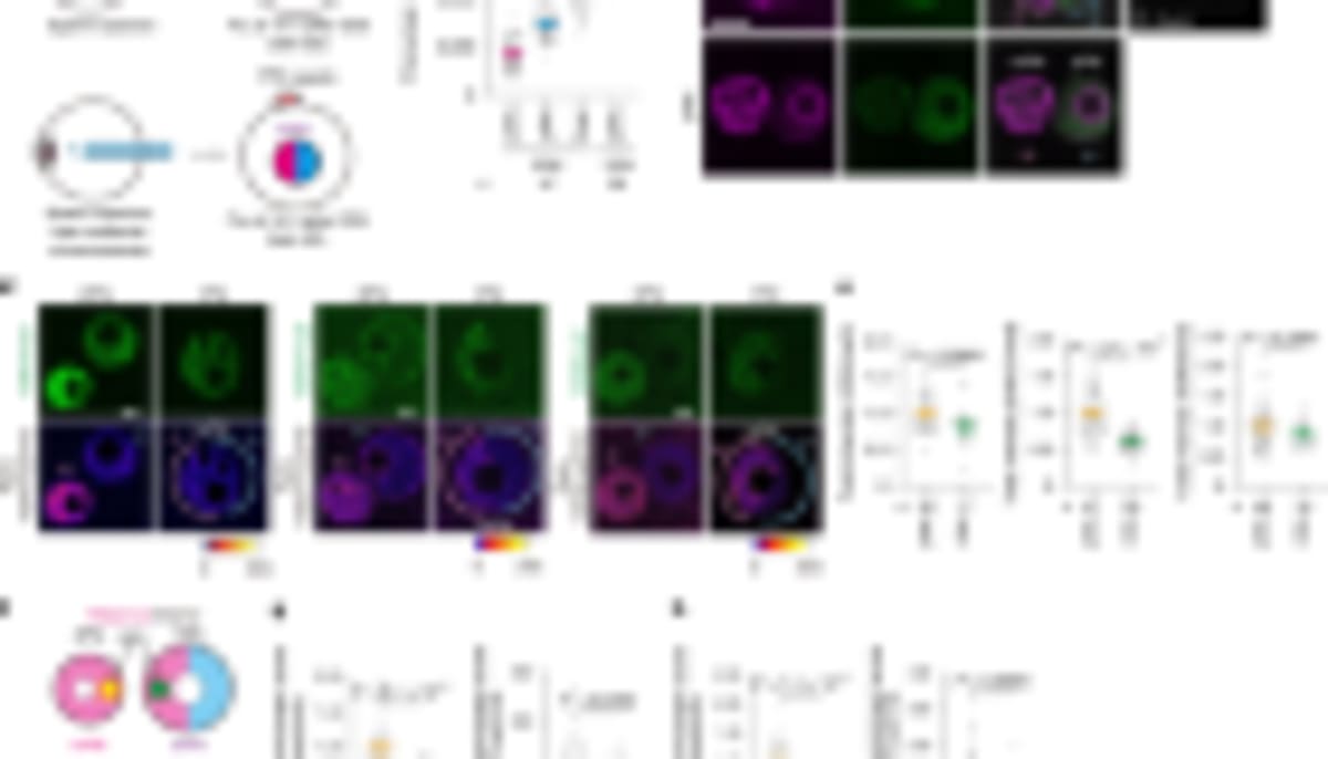 Scientists Give Mouse Eyes Plant Power to Fight Disease - Image 4