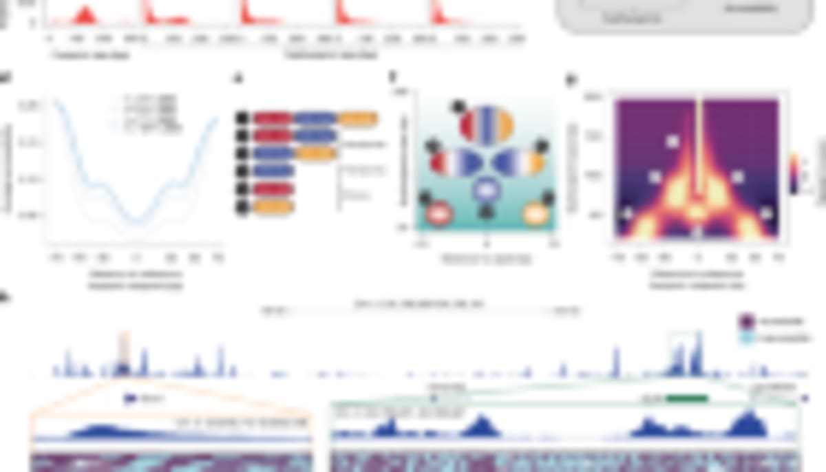 Scientists Get $13M to Build First Synthetic Human Chromosome - Image 2