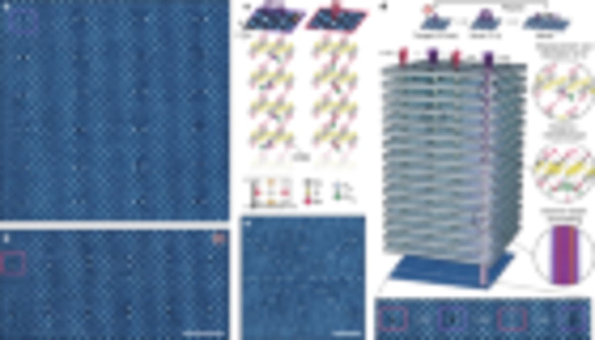 Scientists Inflate Cells 1,000x to Map Proteins on $10K Scope - Image 4
