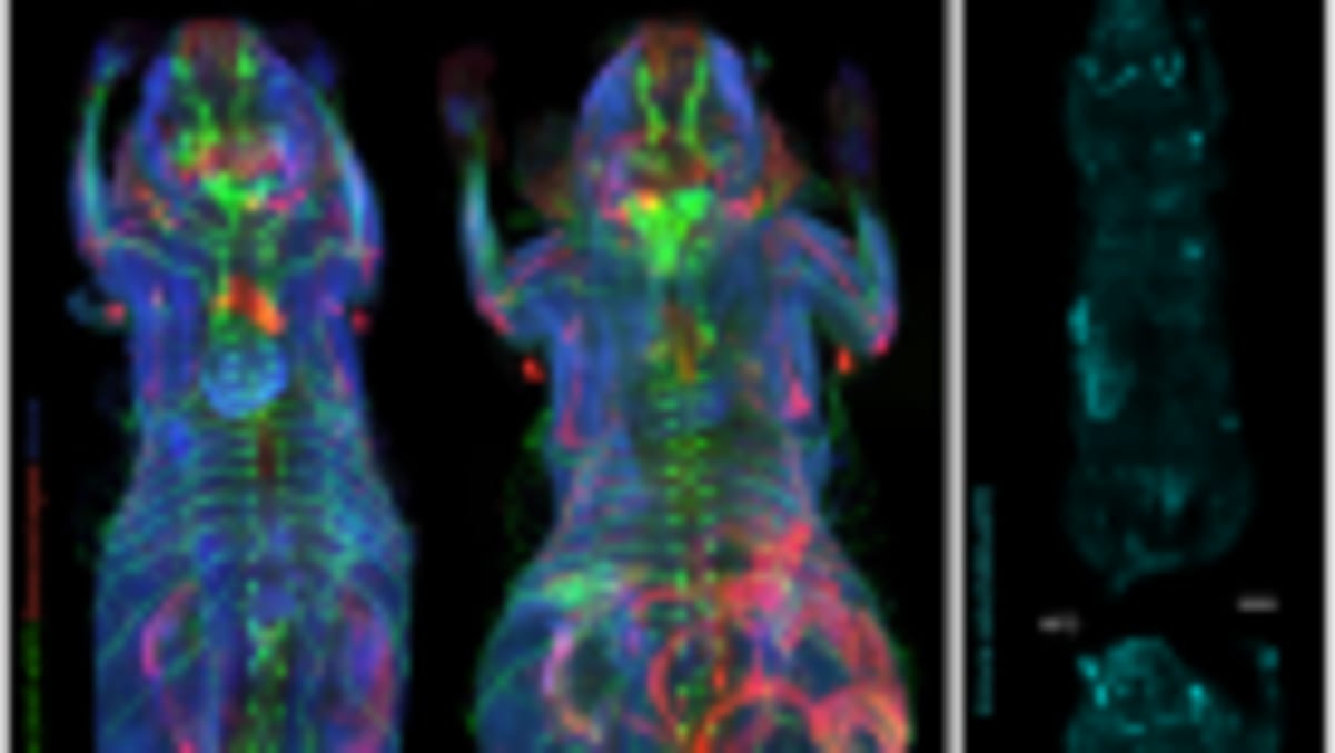 AI Tool Lucy Trains Therapists for Psychedelic Treatment - Image 5