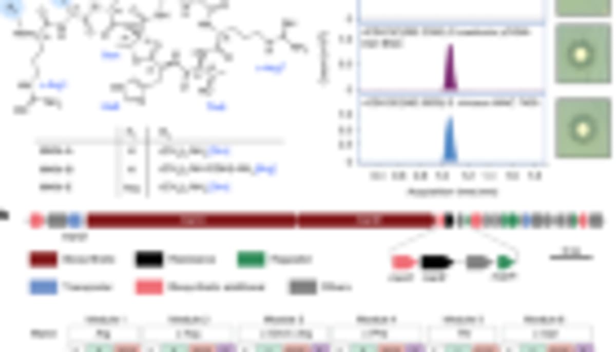 AI Helps Scientists Design Precision Antibiotics - Image 2