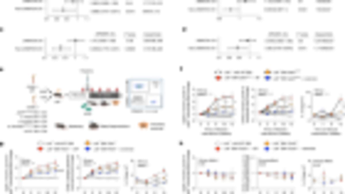 Stem Cell Transplant Cures Rare Autoimmune Disease for 15 Years - Image 2