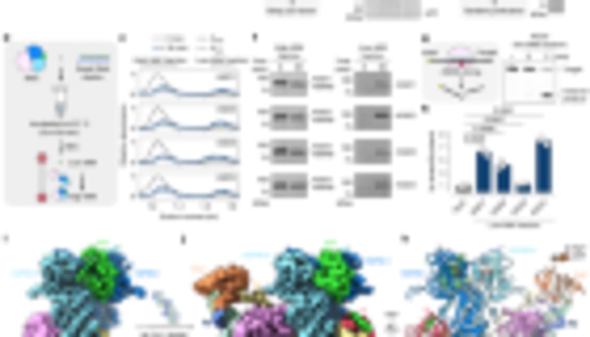 Laser Breakthrough Makes Protein Imaging Sharper Than Ever - Image 5