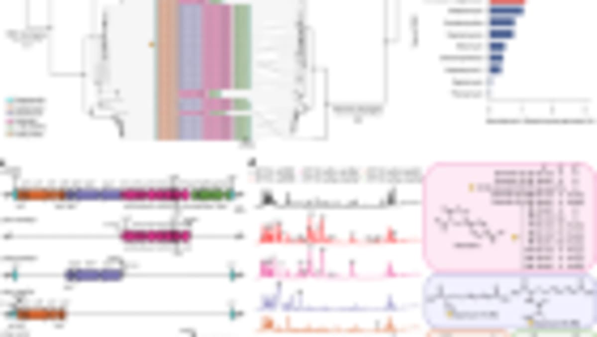 AI Discovers New Antibiotics for Drug-Resistant Gonorrhea - Image 3