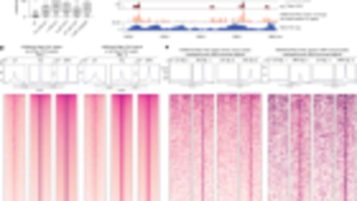 New CRISPR Tool Kills Cancer Cells, Spares Healthy Ones - Image 3