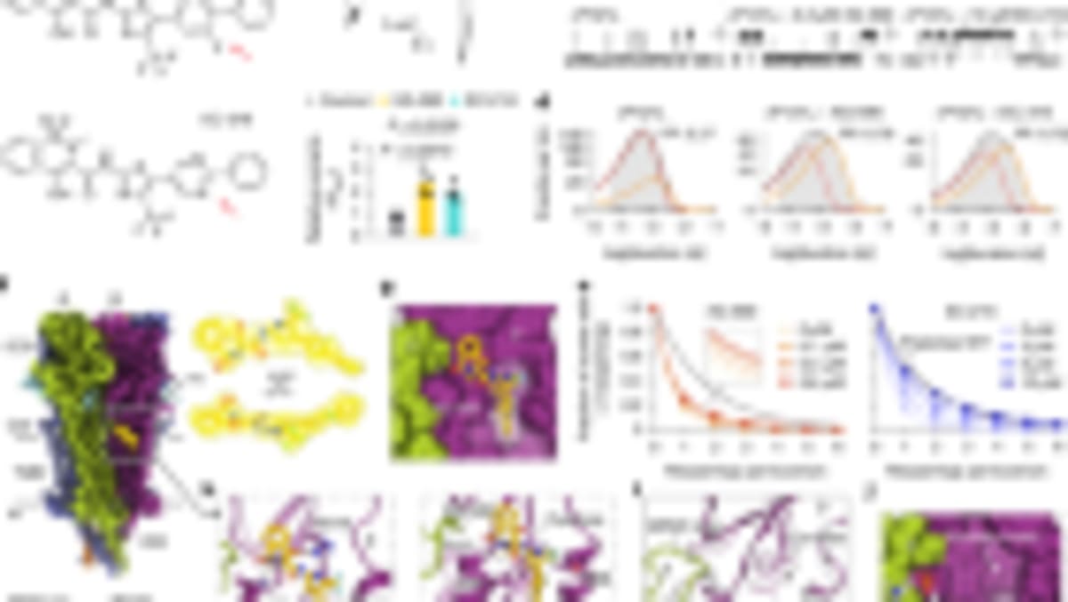 Scientists Photograph the Glow of Life Itself in Mice - Image 4