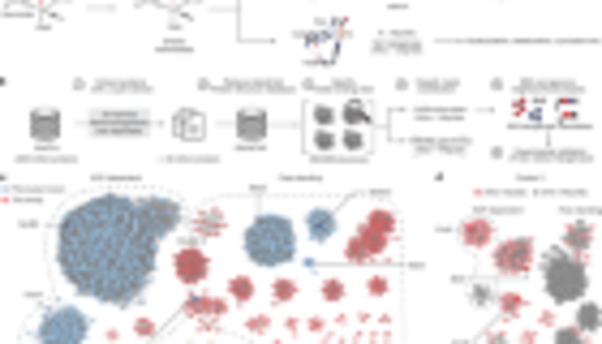 New CRISPR Tool Kills Cancer Cells, Spares Healthy Ones - Image 5