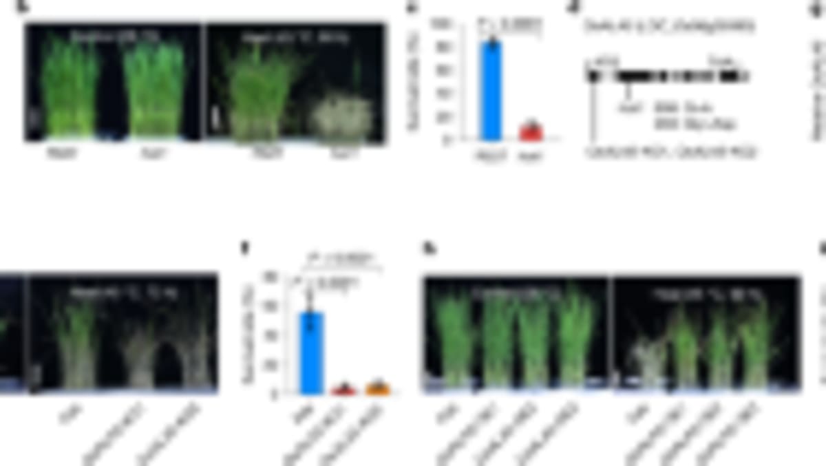 Scientists Create Early Human Sperm Cells in Major Leap - Image 4