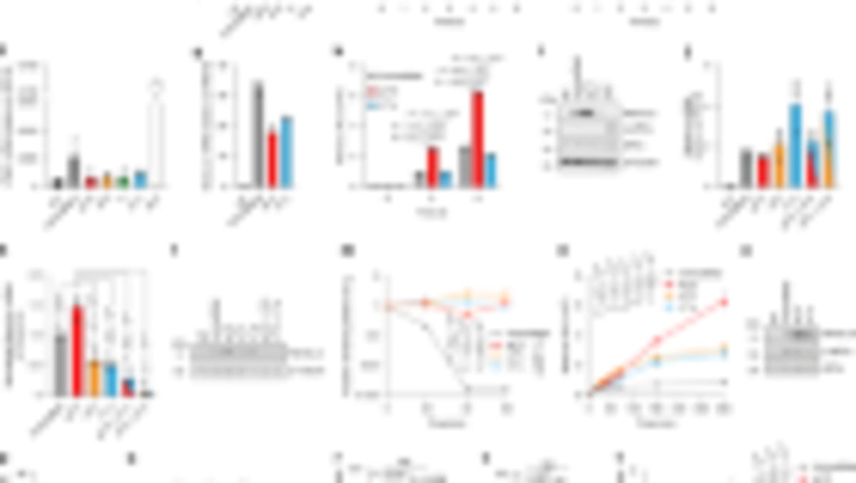 New CRISPR Tool Kills Cancer Cells, Spares Healthy Ones - Image 4