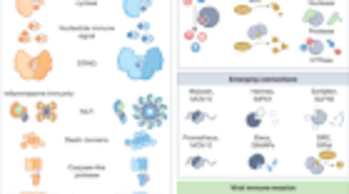 Probiotic Bacteria Now Treats Diabetes in Breakthrough Study - Image 2
