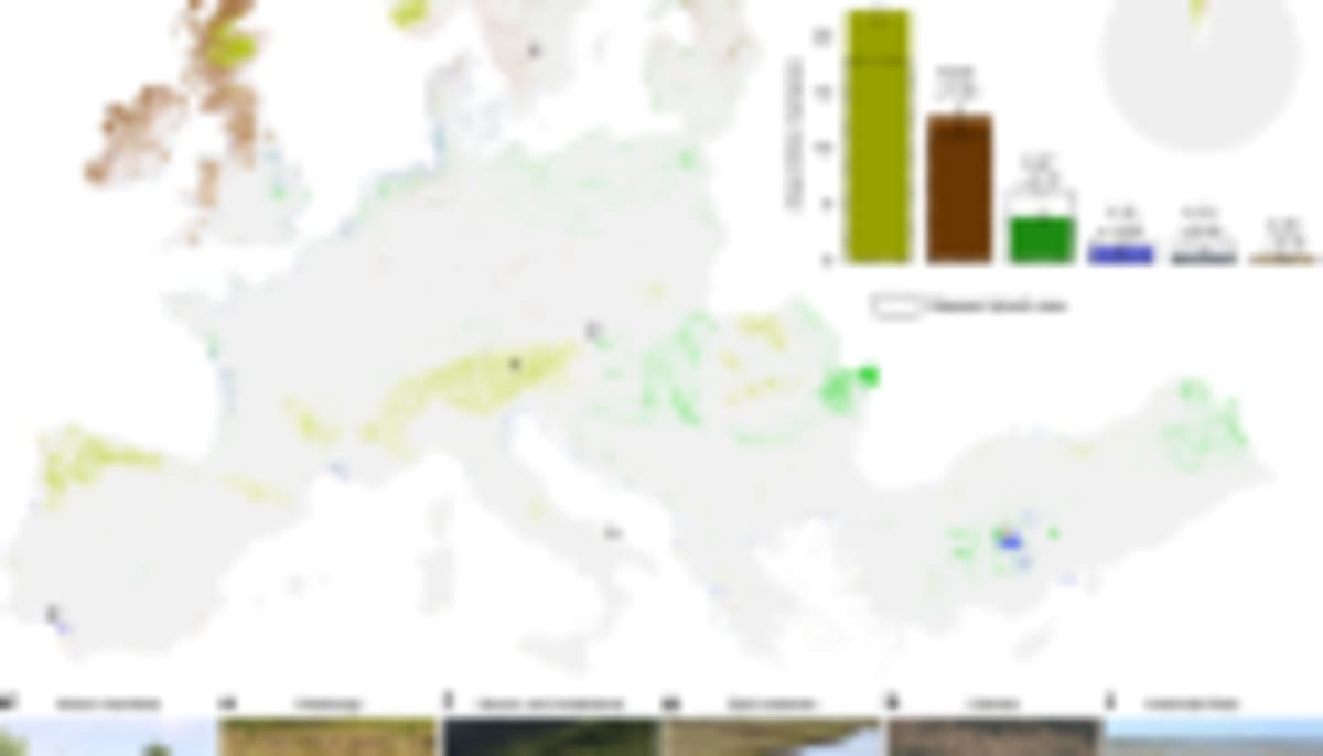 Europe's Wetlands Mapped in Stunning Detail for Restoration - Image 2