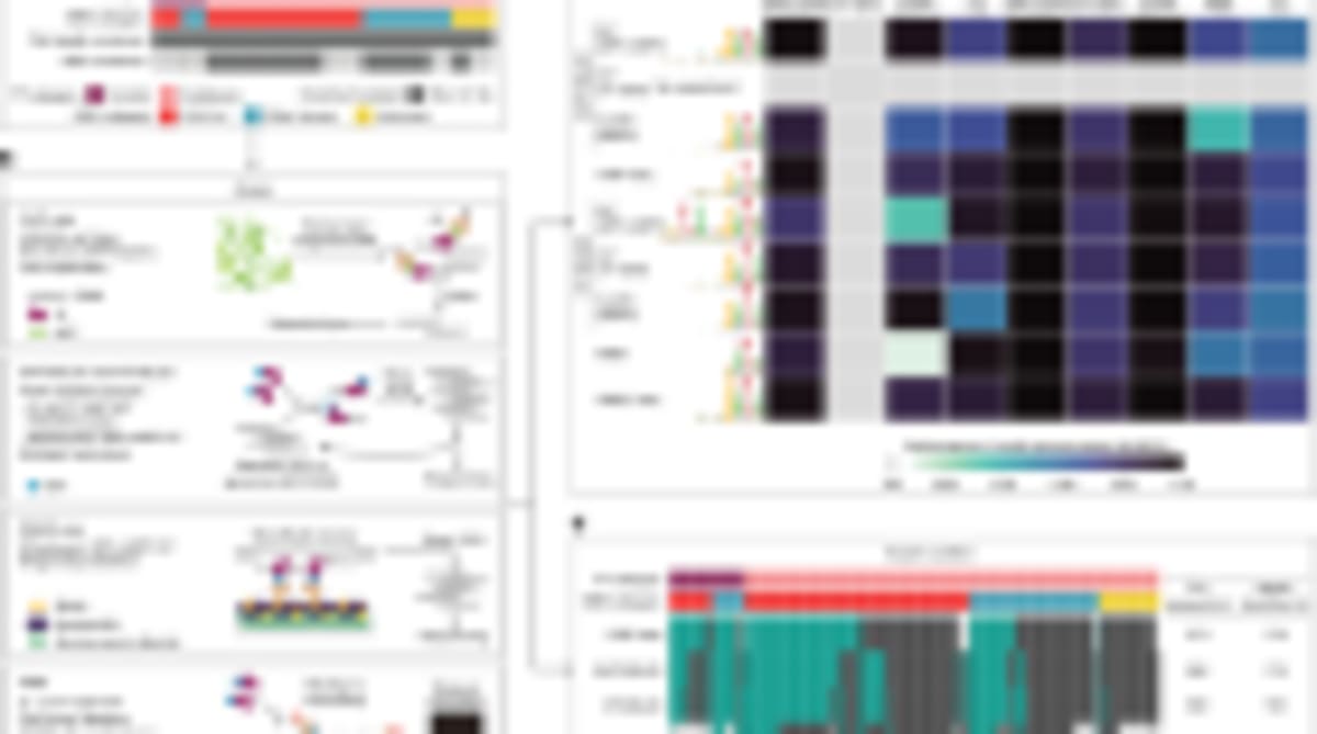 Baby Genome Screening Saves 2-Year-Old's Life in Australia - Image 4