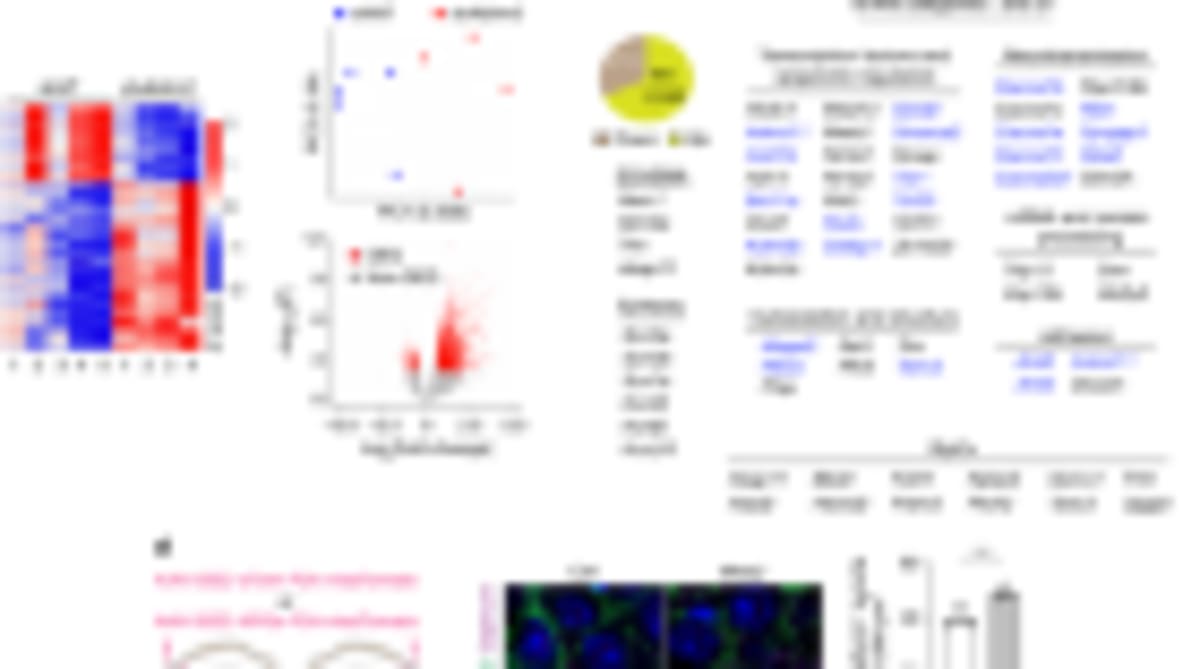Baby Genome Screening Saves 2-Year-Old's Life in Australia - Image 2