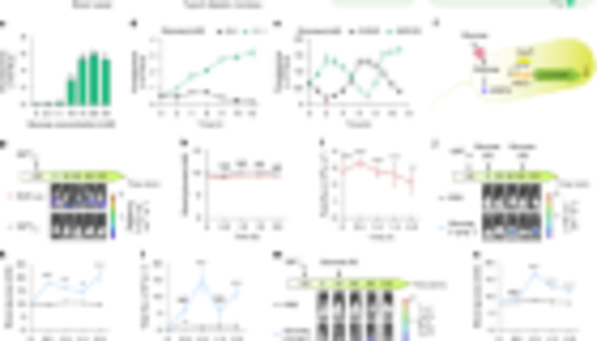 Probiotic Bacteria Now Treats Diabetes in Breakthrough Study - Image 5