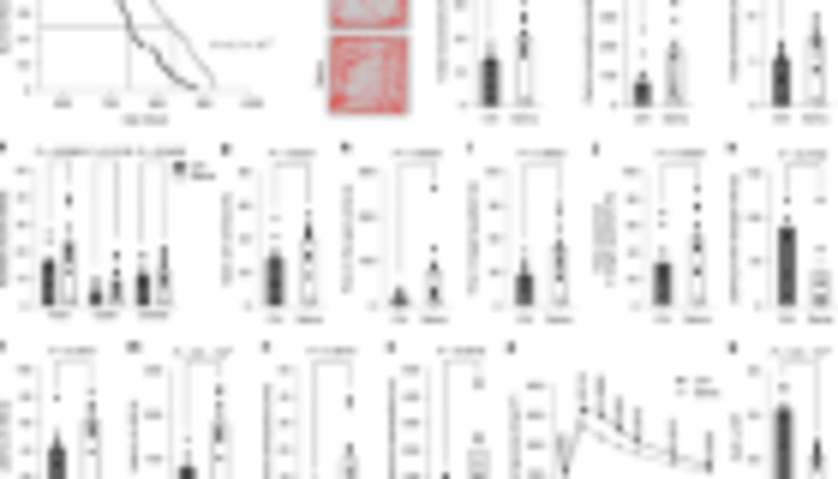 Scientists Link DNA Repair to Longer, Healthier Lives - Image 4